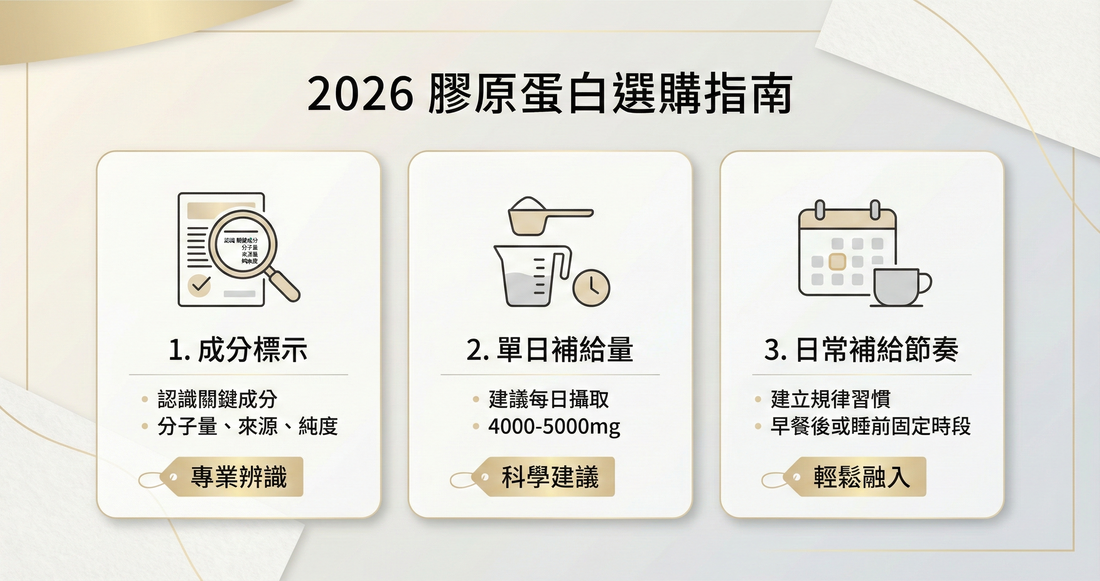 2026 膠原蛋白推薦排行榜比較｜成分透明、劑量思維與日常補給完整指南